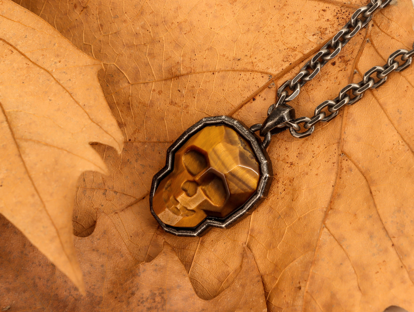Skull Series-02